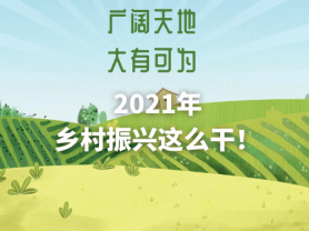 廣闊天地 大有可為 2021年鄉(xiāng)村振興這么干！